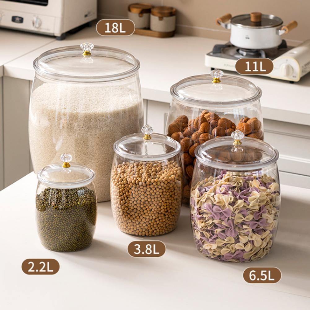 Grande Contenitore Trasparente - Food Storage Plastic Containers With Lids recensione e prezzo