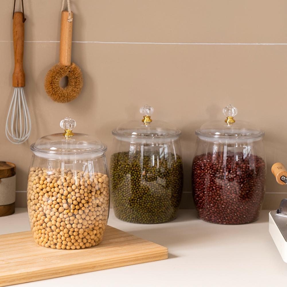 Grande Contenitore Trasparente - Food Storage Plastic Containers With Lids recensione e prezzo