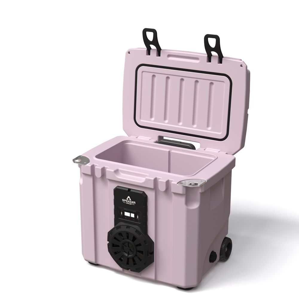 Borsa Frigo Portatile da 35L c - Food Storage Is recensione e prezzo