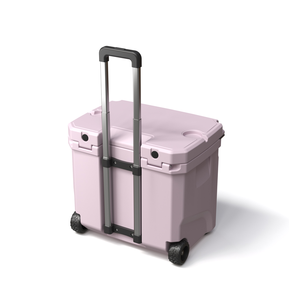 Borsa Frigo Portatile da 35L c - Food Storage Is recensione e prezzo